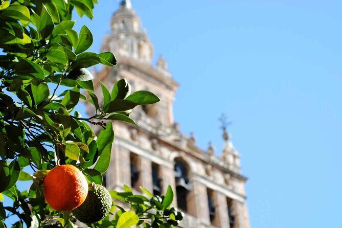 Essential Seville Tour - Key highlights on this Essential Seville Tour