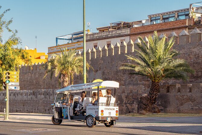 Expert Tour of Seville in Private Eco Tuk Tuk - Getting Your Bearings in Seville by Eco Tuk Tuk