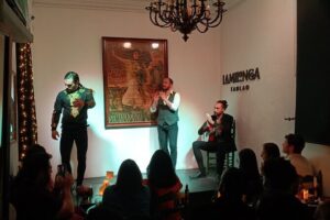 Flamenco Show in Seville at Bar and Tapas - What $70 Buys: Admission, One Drink, and Seville-Style Tapas