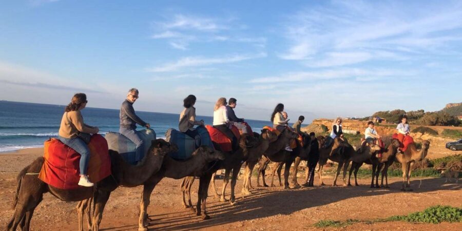 From Sevilla: Private Tangier Tour - Achakar Beach camels: a classic Tangier moment on the Atlantic edge