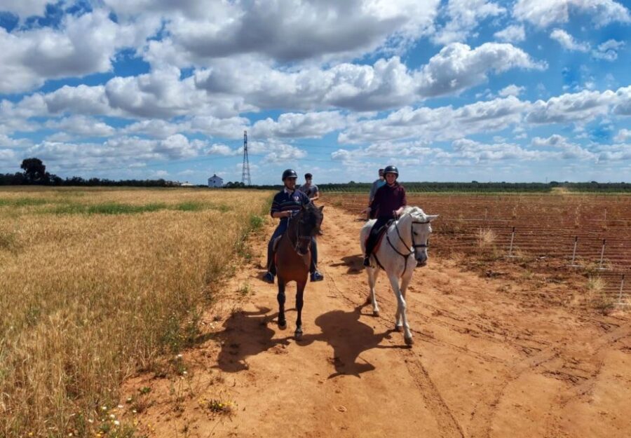 From Seville: Andalusian Horseback Ride - Quick highlights before you book