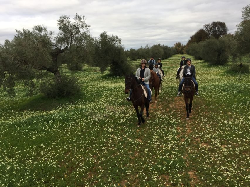 From Seville: Andalusian Horseback Ride - How the ride usually unfolds (and where to pay attention)