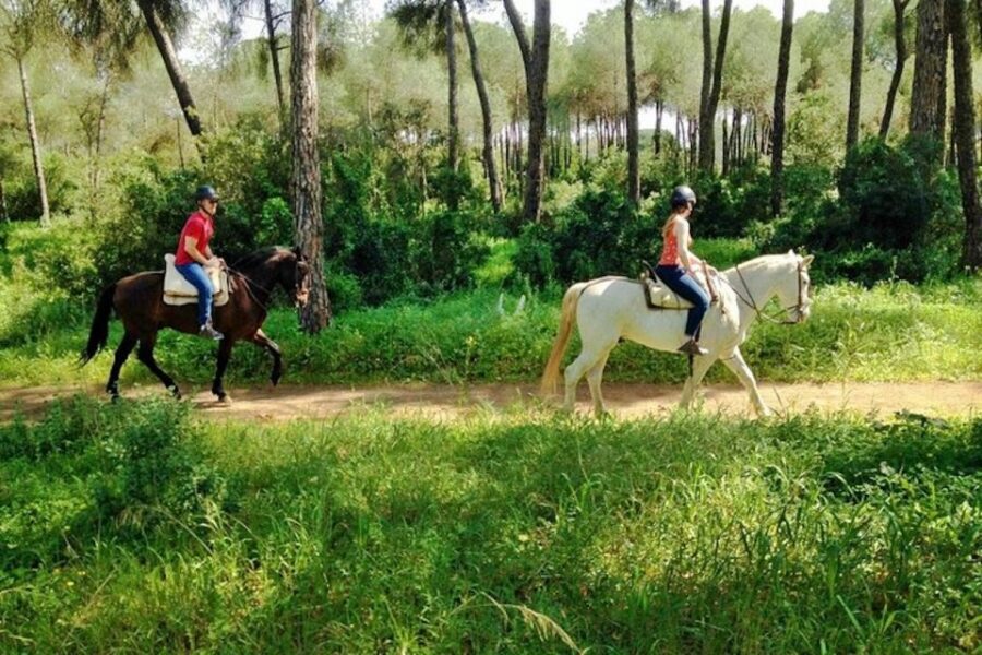 From Seville: Andalusian Horseback Ride - Price and value: is $164 fair for what you get?