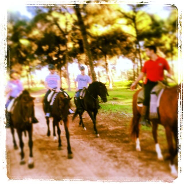 From Seville: Andalusian Horseback Ride - Who this ride suits best (and who should skip it)