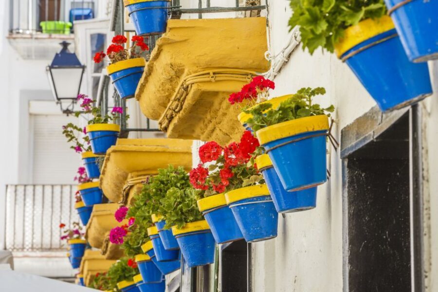 From Seville: Cadiz and Jerez de la Frontera Day Trip - Cádiz: your historic-center walking plan (and where it pays off)