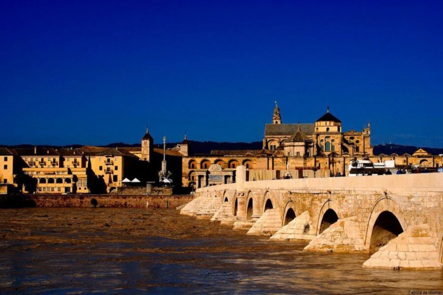From Seville: Cordoba Full-Day Tour with Tickets Included - One hour free in Córdoba: how to spend it without losing the thread
