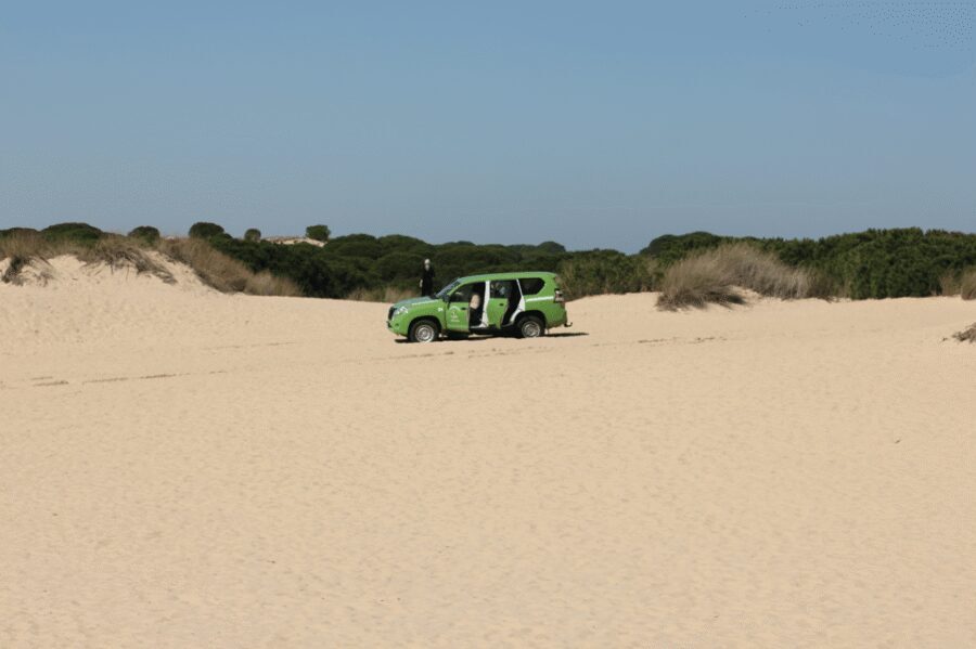 From Seville: Doñana, El Rocio, and Matalascañas Beach Tour - El Rocío’s pilgrimage village: why the walking tour is the cultural hinge