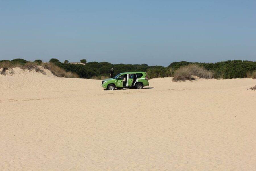 From Seville: Doñana, El Rocio, and Matalascañas Beach Tour - Guide-led learning: what you gain, and what to pack for comfort