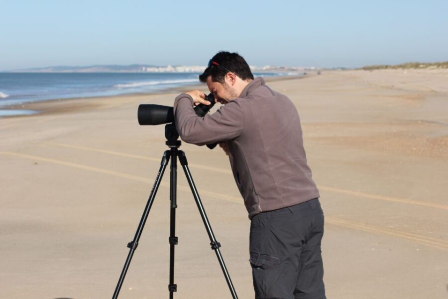 From Seville: Doñana, El Rocio, and Matalascañas Beach Tour - Should you book this Doñana, El Rocío, and Matalascañas tour?