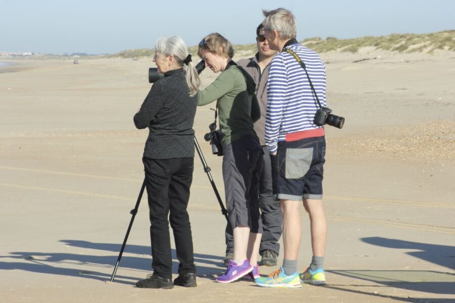 From Seville: Doñana Natural Park, El Rocio and Matalascañas - Who This Tour Fits Best (and Who Should Skip It)