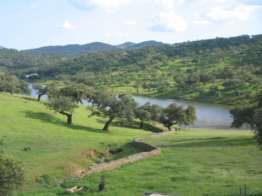 From Seville: Full-Day Aracena & Rio Tinto Mines Tour - Key highlights you’ll remember