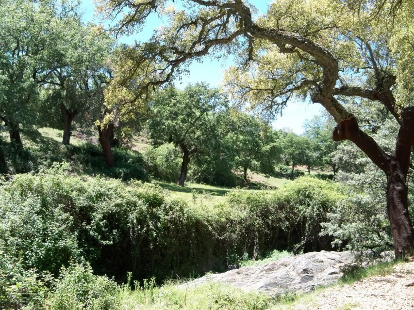 From Seville: Full-Day Aracena & Rio Tinto Mines Tour - Almonaster la Real viewpoint: the quiet break on a hill