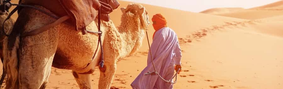 From Seville: Full-Day Tour to Tangier - Optional camel ride: the classic extra, with room to choose