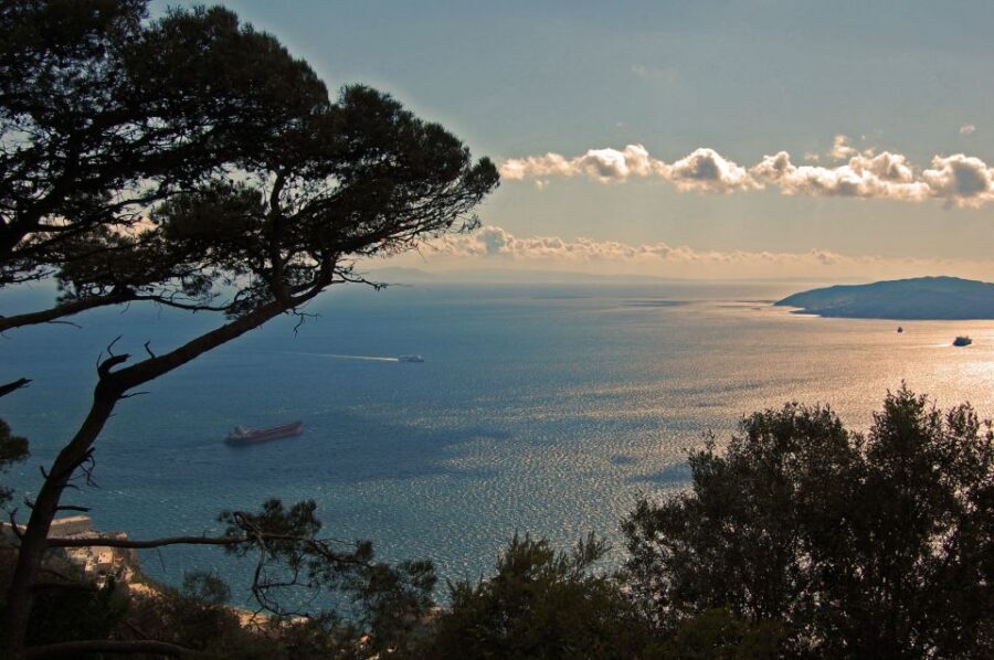 From Seville: Full-Day Trip to Gibraltar - Crossing into Gibraltar without turning it into a hassle