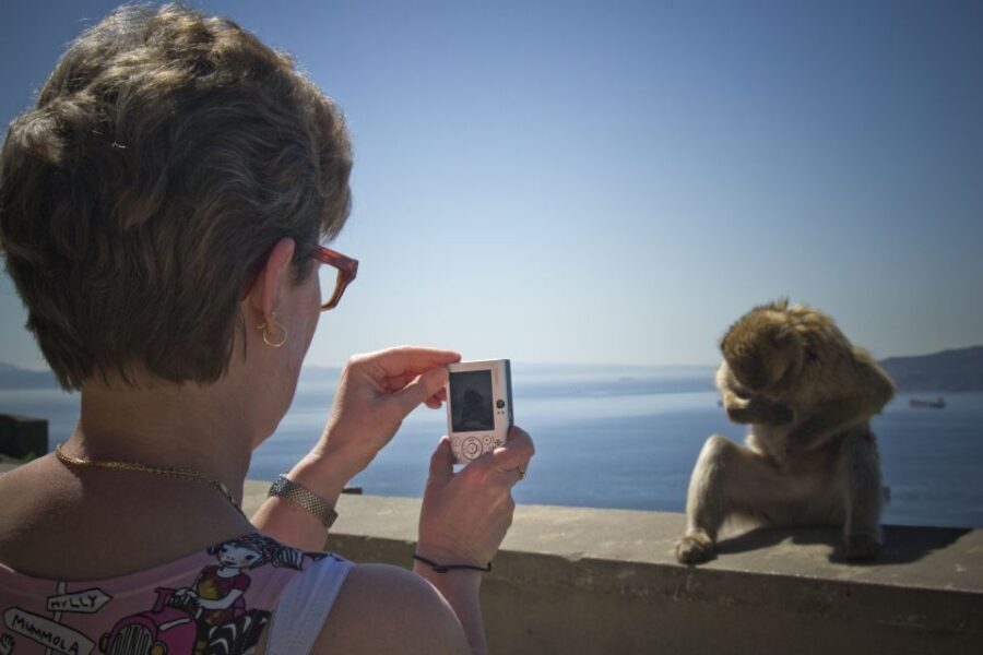 From Seville: Gibraltar Sightseeing Tour - Who this day trip suits (and who should think twice)