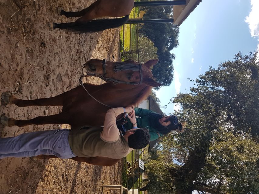 From Seville: Horseback Riding Experience in Aljarafe - Posada Ecuestre and Dehesa Boyal: where you meet the horses