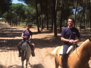 From Seville: Horseback Riding Experience in Aljarafe - The horseback ride: about 1.5 hours of countryside on Andalusians