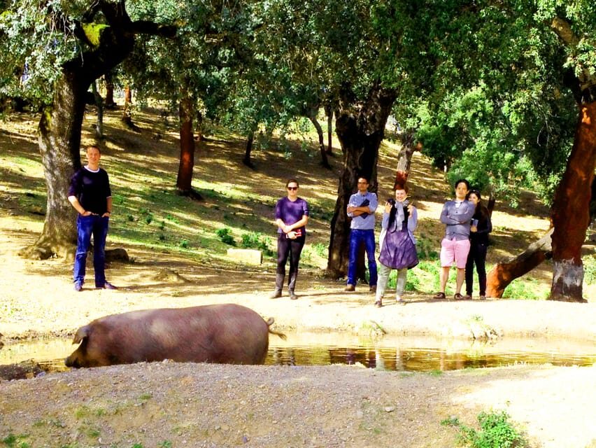 From Seville: Iberian Ham Full-Day Tour to Aracena - The Farm Tour: Artisanal Ham-Making Steps and Time Around the Pigs