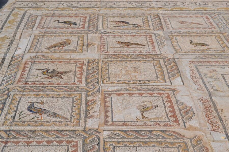 From Seville: Italica Roman City Tour - The pace, the group size, and how to get the most out of the guide