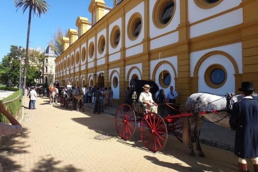 From Seville: Jerez and Cadiz Day Trip - Costa de la Luz to Cádiz: The Shift From Cellars to Sea Air
