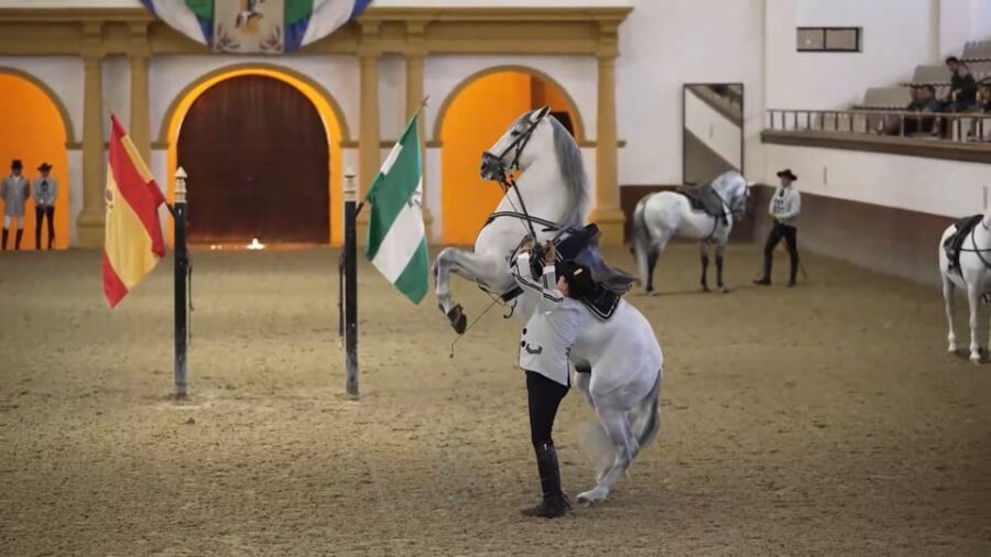 From Seville: Jerez, Cádiz and Andalusian Horses - Royal Andalusian School of Equestrian Art: The Horse Ballet You’ll Keep Thinking About