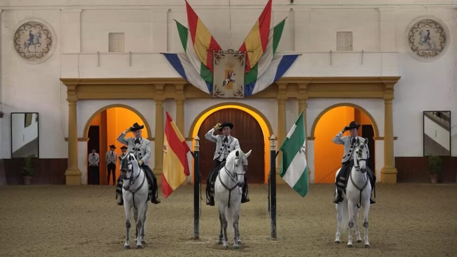 From Seville: Jerez, Cádiz and Andalusian Horses - Who This Tour Fits Best (and Who Should Rethink)
