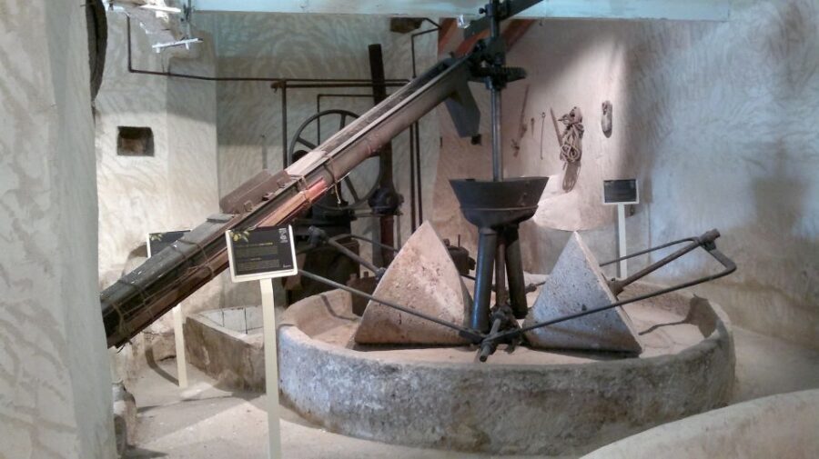 From Seville: Olive Oil Farm Tour - Inside the small factory: seeing machines and physical methods