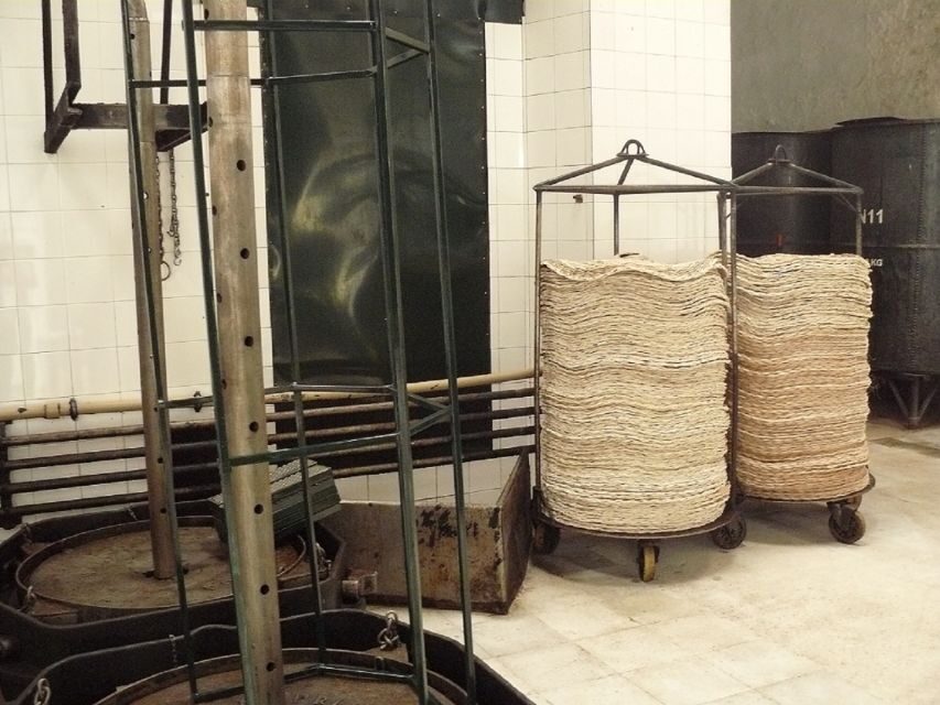 From Seville: Olive Oil Farm Tour - What you actually see and learn: Roman-era roots, real farm routines