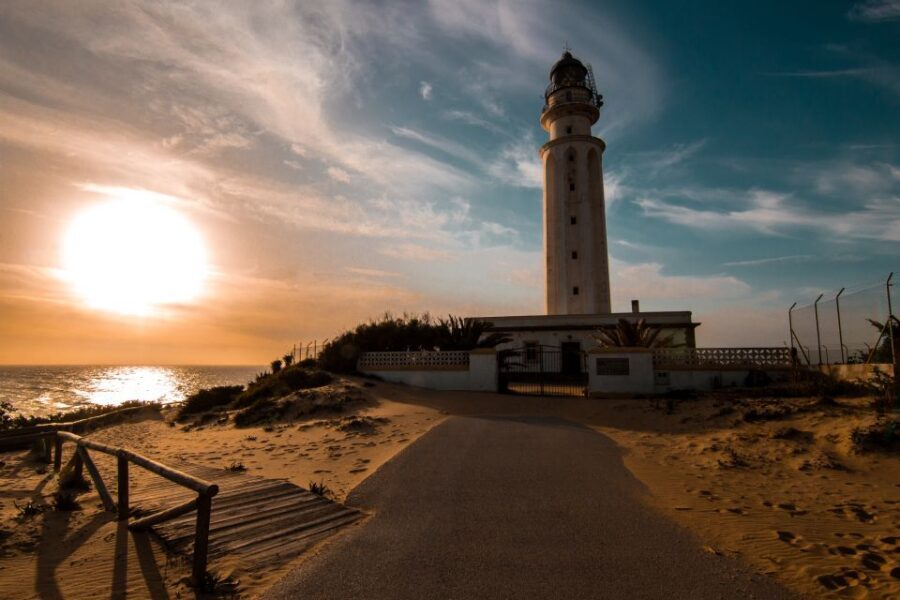 From Seville: Private Day Trip to Cádiz with Guide - Free time and lunch: how to turn sightseeing into a real meal
