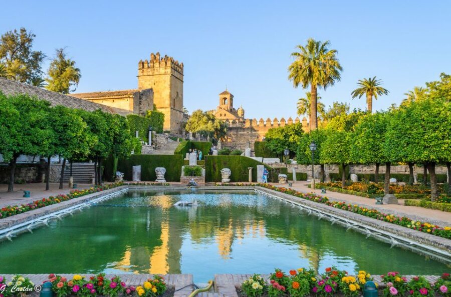 From Seville: Private or Group Full-Day Cordoba Tour - Price and Value: Is $117 Fair for What You Get?