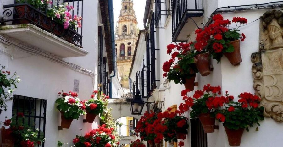 From Seville: Private Transfer to Granada and Córdoba Tour - Judería Streets, Synagogue Stop, and the Patio Contrast You’ll Notice