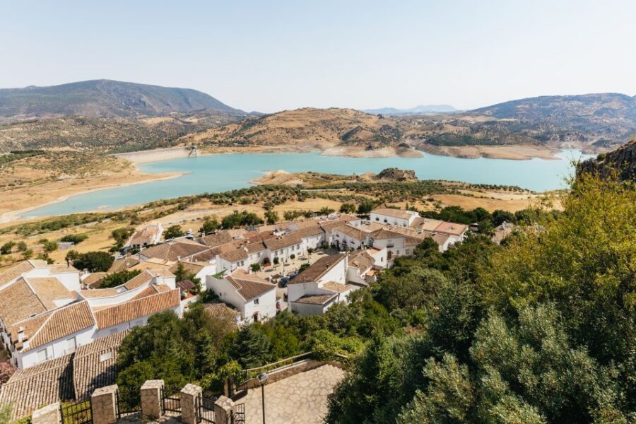 From Seville: Pueblos Blancos and Ronda Full-Day Trip - Molino El Vínculo: Olive Oil Pressing Done in Plain View