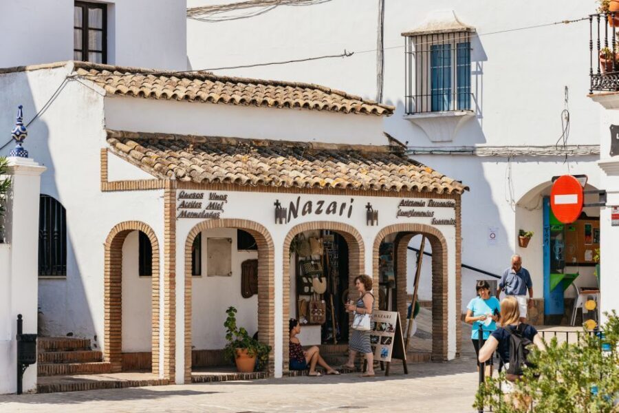 From Seville: Pueblos Blancos and Ronda Full-Day Trip - Coach Comfort, Timing, and Small Things That Matter
