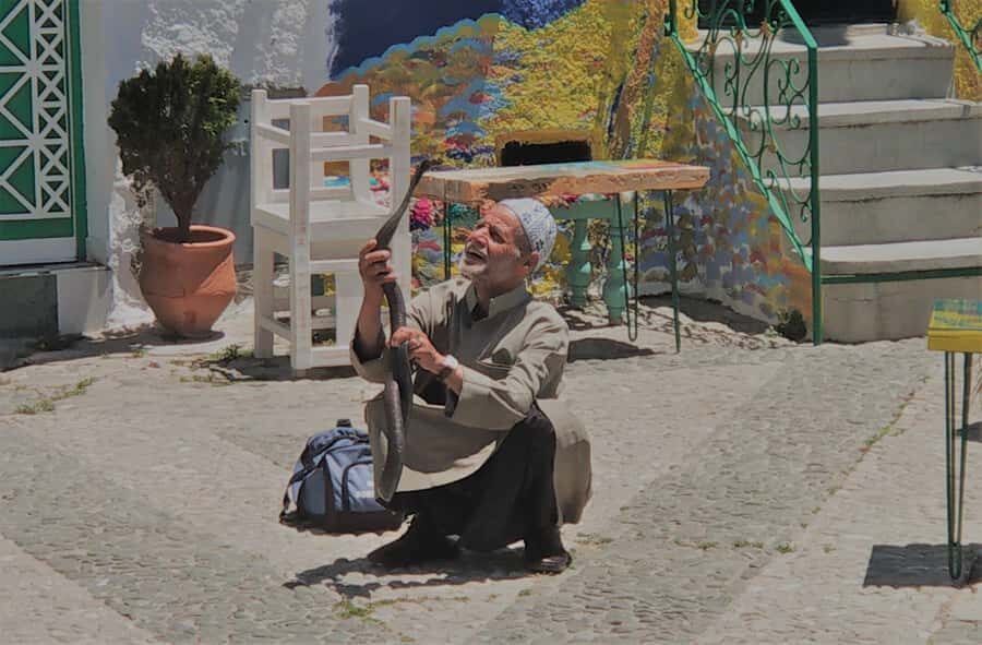 From Seville: Tangier Day Trip with Local Guide and Lunch - Price and Value at $258: What You’re Paying For