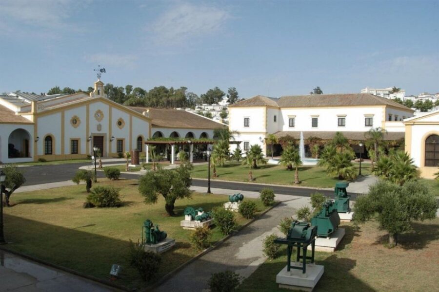 From Seville: Tour of Jerez with Horse Show & Wine Tasting - Key things I’d notice before you go