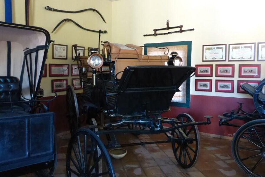 From Seville: Tour of Jerez with Horse Show & Wine Tasting - Timing, duration, and what to pack for a smooth day