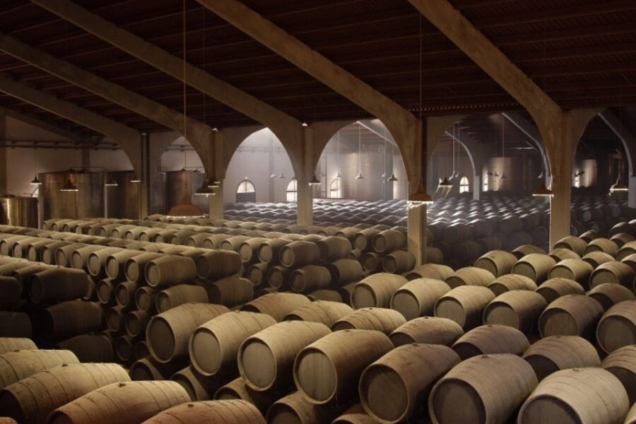 From Seville: Tour of Jerez with Horse Show & Wine Tasting - A note on guides, language, and expectations