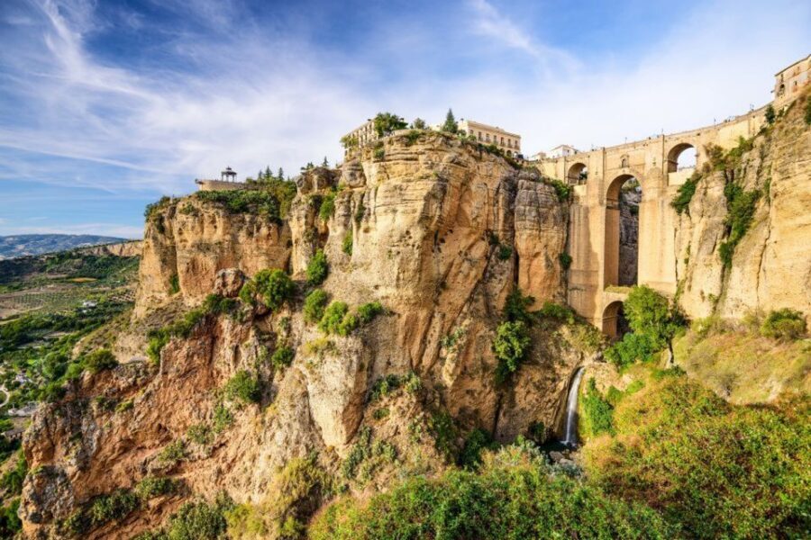From Seville: White Villages and Ronda Tour - The Oil Factory Stop: Small Detail, Real Flavor of the Region