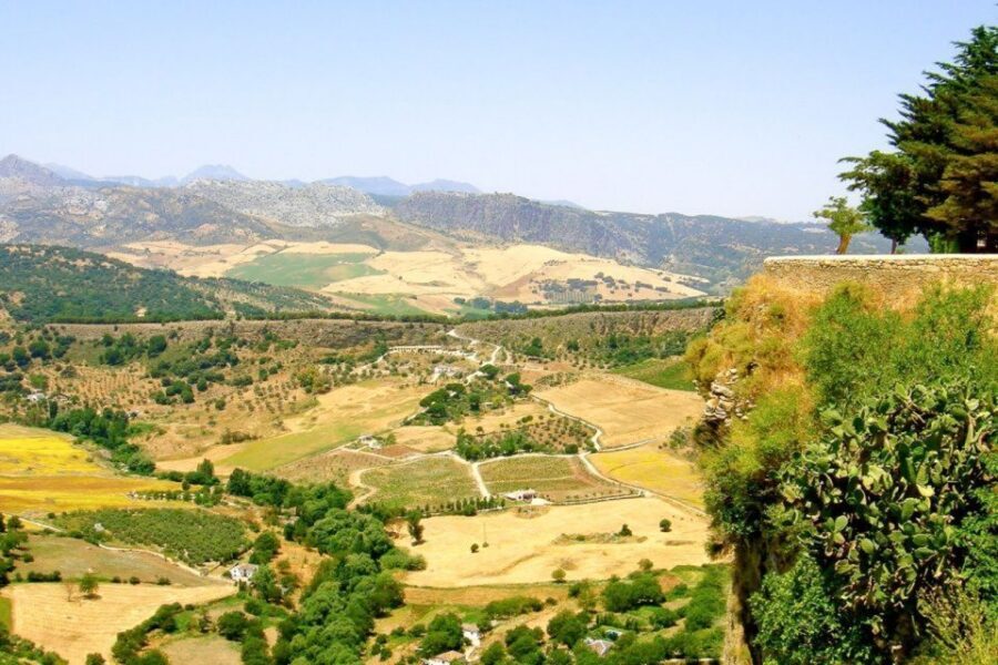 From Seville: White Villages and Ronda Tour - Who This Tour Fits Best (and Who Should Skip It)