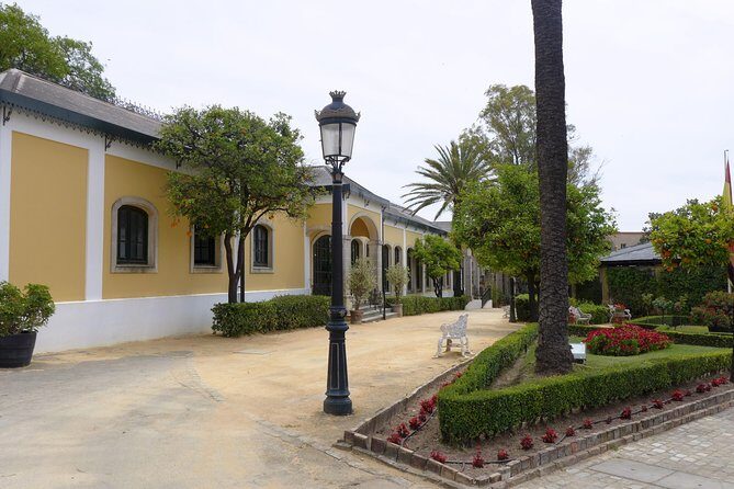 From Seville: Wine Tourism Half Day Tour - Getting the Most Out of a Half-Day Wine Tour