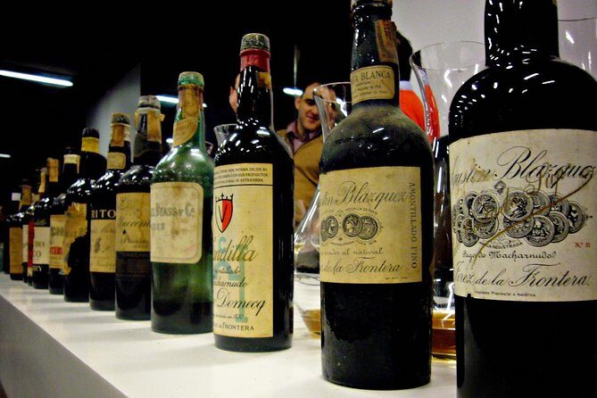 From Seville: Wine Tourism Half Day Tour - Should You Book This Seville Wine Half-Day Tour?