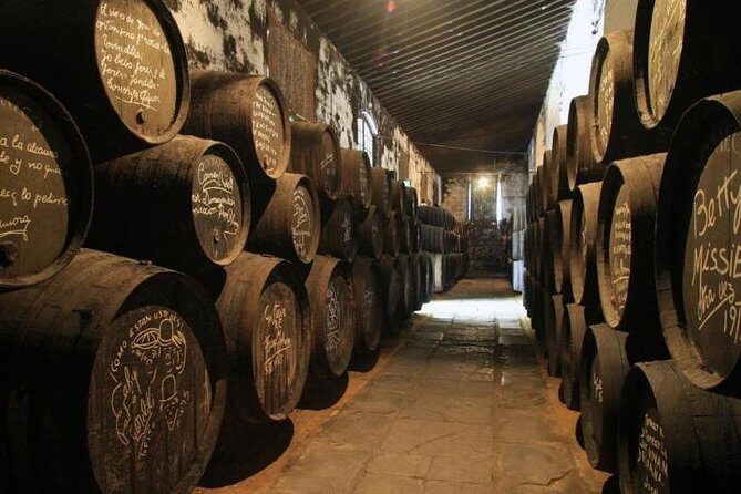 From Seville: Wine Tourism Half Day Tour - Pickup in Central Seville: Less Driving, More Real Time