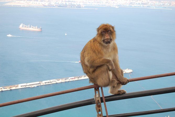 Gibraltar Day Trip from Seville - John Mackintosh Hall and time for town: where lunch and browsing fit