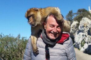 Gibraltar Day Trip from Seville + Rock Tour - Upper Rock Nature Reserve: Africa Views and the Resident Macaques