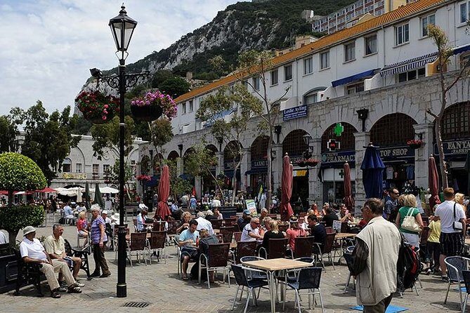 Gibraltar private tour from Seville including the upper rock - Should You Book This Seville to Gibraltar Private Tour?