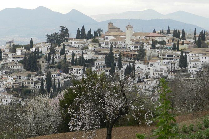 Granada Day Trip: Alhambra & Nazaries Palaces from Seville - The Granada walking window: cobbled streets and limited free time