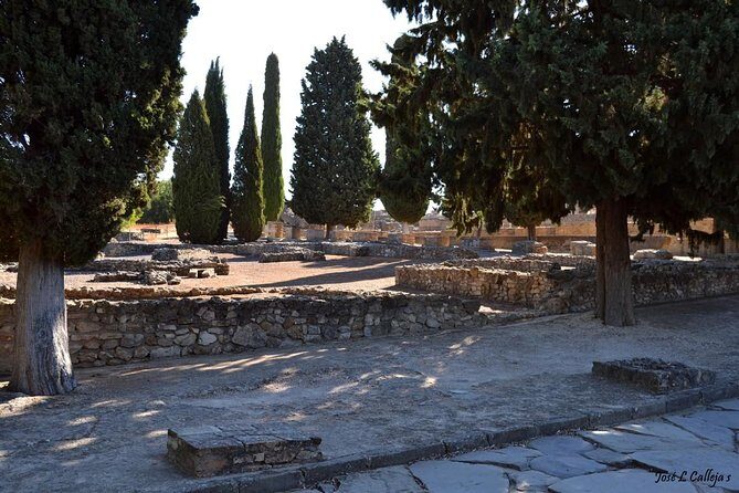 Group Excursion from Seville to Italica (Seville Roman Town) - San Isidoro del Campo: a monastery stop with unexpected charm