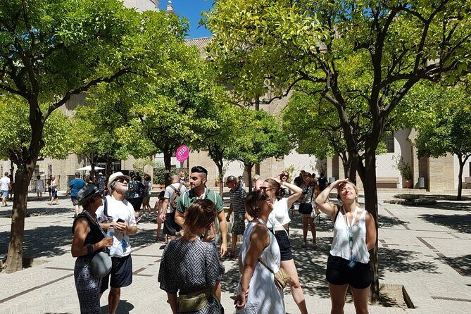 Guided Tour Sevilla Cathedral - Who Should Book This Cathedral + Giralda Tour?
