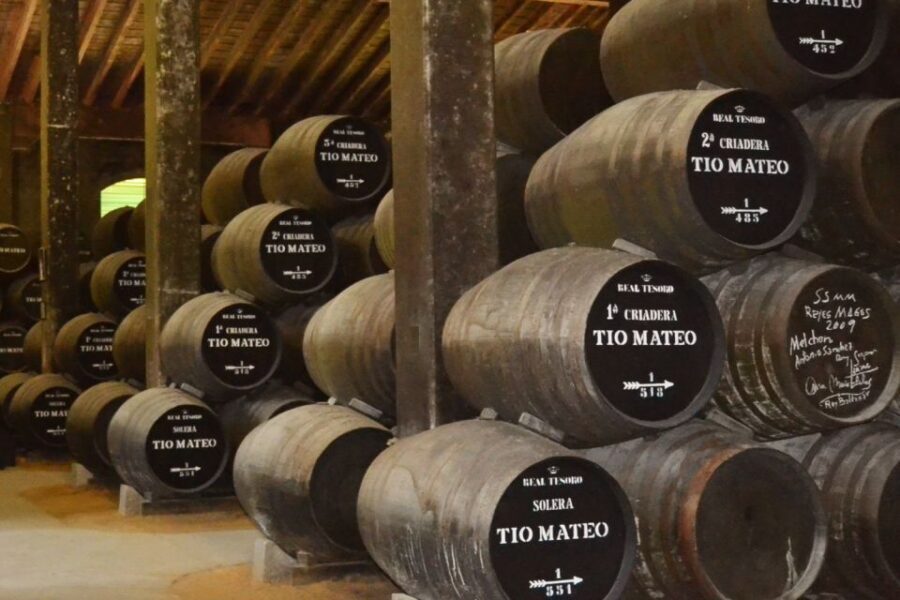 Half-Day Wine Tour in Andalusia in small group - Why a 4-Hour Andalusian Wine Tour Beats the Full-Day