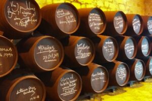 Half-Day Wine Tour in Andalusia in small group - The Seville Pickup and the Coach Ride Out